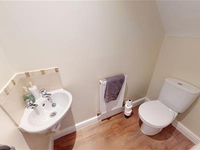 Picture 17